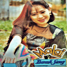 na paw bawk seng cover